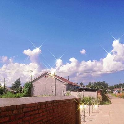 九天仙梦51wan版下载